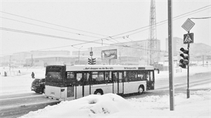 bus österreich